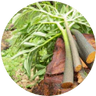 Glucomannan