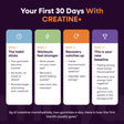 Maya CREATINE+ timeline card: what to expect in your first 30 days, week by week