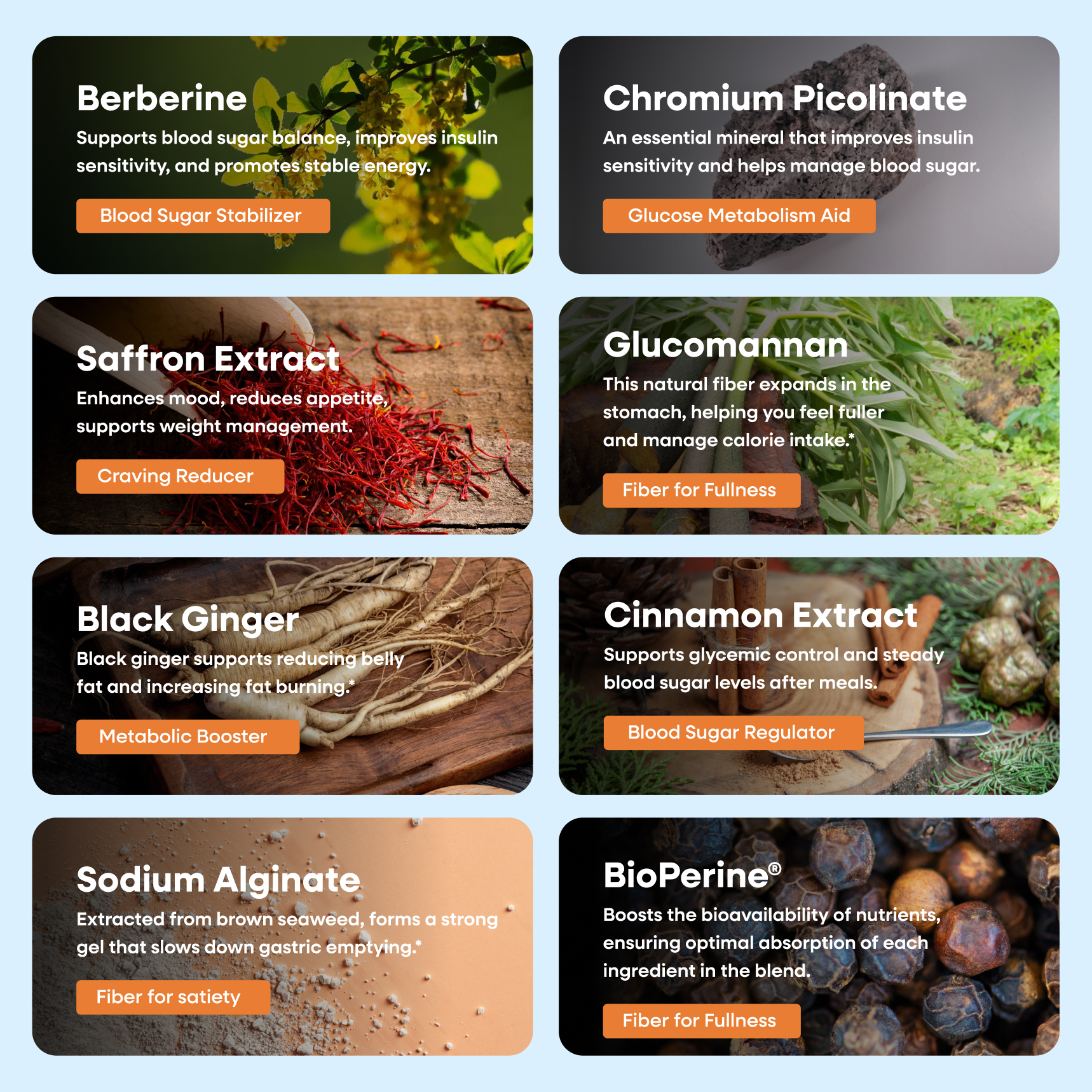 METABOLISM+
